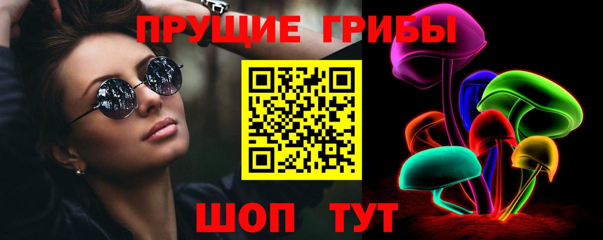 Галлюциногенные грибы Psilocybe Еманжелинск